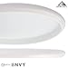 Axiom Discs Neutron Envy Disc Golf Putter (170-175g / White)