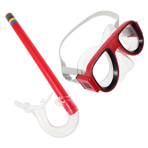 DECORNIJIA pXC~OS[O\wbhXgbvhh܍LċzǕtVm[POcj ی