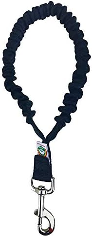 Only Leash Heavy Duty Dog Leash for Medium and Large Dogs, Durable Shock Absorbing Control and Training Lea…