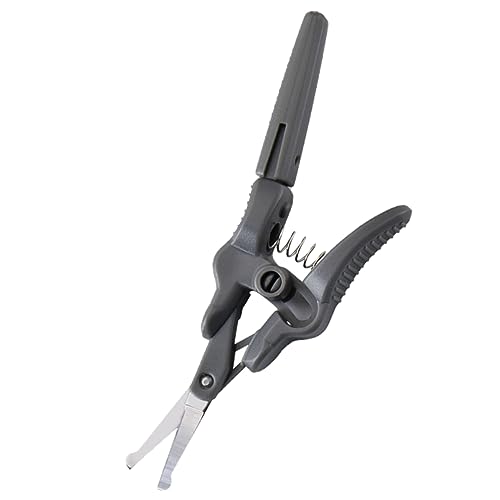 PAMINGONO jp@уg}[ ^g~O͂ XeX| уJbg @уJbgpO[~Oc[ j p gȂ݃PAp 4Zbg