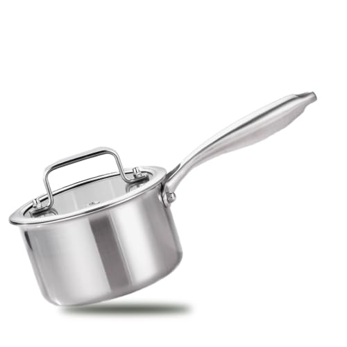 Comparison: Best Stainless Steel Ramen Pot 5 MOUTIUS 1 Quart Triple Stainless Steel Saucepan with Lid, Ramen Pot with Clear Glass Cover, Small Sauce Pan for Cooking Oatmeal, Induction-Ready, Dishwasher-Safe, Suitable for All Stoves
