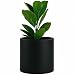 FOX & FERN Cylinder Pot - Perfectly Fits Mid-Century Modern Plant Stand - 12 inch - Natural Black