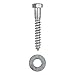 3/8 x 2-1/2 (50 Pack) Lag Screw Kit, 50 Screws and 50 washers, Hot Dip Galvanized, Meets ASME B18.2.1 Industrial/Commercial Grade by Makers Bolt