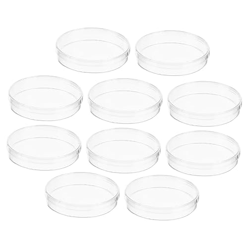 PATKAW 10Ŋ炩ȕ\ʂ̔|{v[g WtזE|{M  wZ Ɨp { Ȏ wΉ