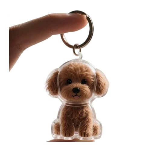 Dog Hair Collector Keychain Charm Memorial Storage Box Transparent Bottle for Pet Hairs Keychain Pets Fur Keepsake Keyring for Collecting Hair Portable Pet Memory Capsule(10)