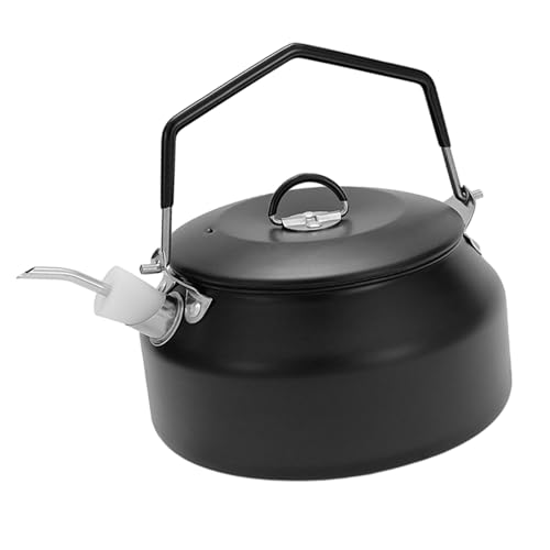 Bouilloire extérieure en acier inoxydable avec poignée ergonomique