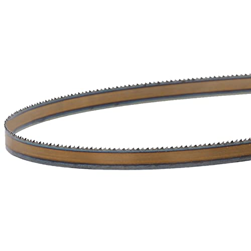 Timber Wolf Bandsaw Blade 1/2