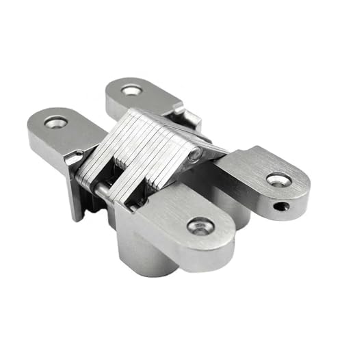 Charnière de porte croisée cachée à fermeture silencieuse inox - 2