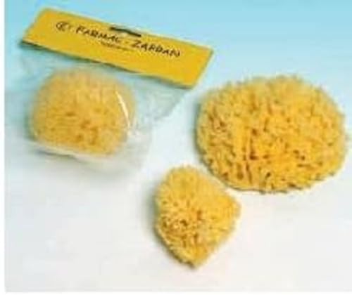 Mare spons nr. 3 groot