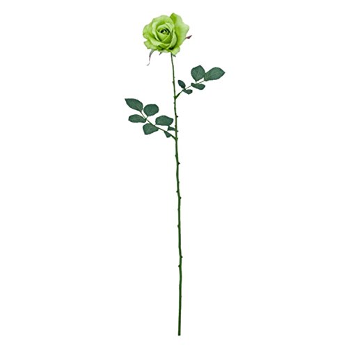 �~�V�F�����[�Y �t���b�V���O���[�� FLS0713FRGR �~�V�F�� ���[�Y �o�� �K�N �΂� ���� �A�[�g�t�����[ �X�v���C
