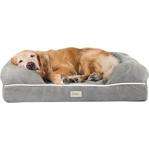 Friends Forever X-Large Dog Bed, Orthopedic Dog Sofa Memory Foam Mattress, Calming Dog Couch Bed, Wall Rim Pillow, Water Resistant Liner, Washable Cover, Non-Slip Bottom, Chester, X-Large Grey