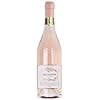 Discover & Savor Gran Passione Rosato Veneto IGT - Buy Your 750ml Experience Today! – Gran Passione