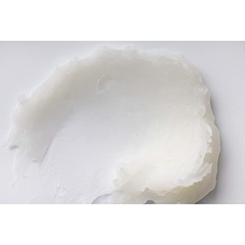 Burt's Bees Lip Balm Easter Basket Stuffers, Moisturizing Lip Care Spring Gift, For All Day Hydration, 100% Natural, Strawberry (2 Pack) #TOP5