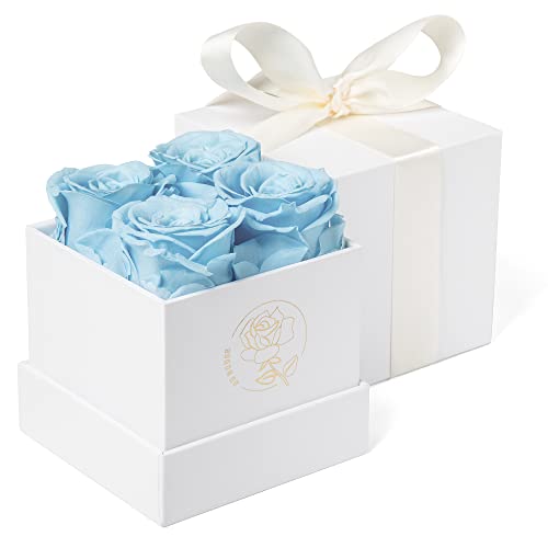 Roses éternelles préservées ciel boîte de 4 fleurs DuHouse