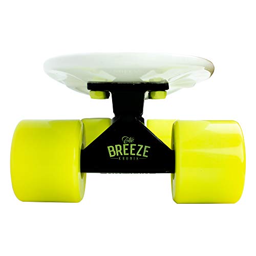 Skate Mini Cruiser Penny Longboard RX