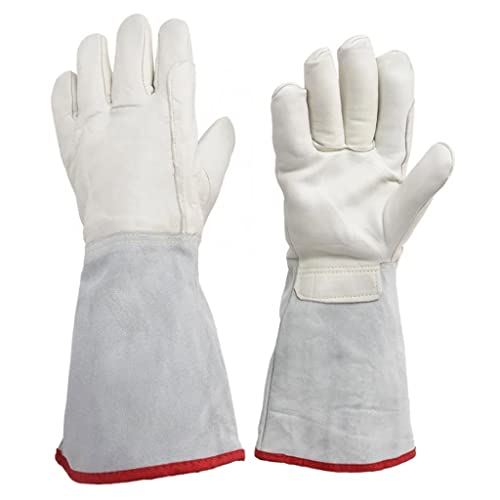 Gants cryo de 40 cm pour le traitement azoté en laboratoire et la manipulation de gaz liquéfiés