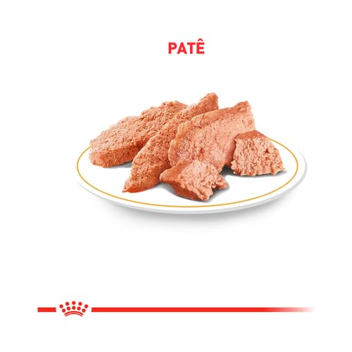 Kit 3un.Ração Úmida Lata Royal Canin Veterinary Gastrointestinal Low Fat Cães Adultos 420g