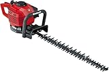 Einhell GC-PH 2155- Recortasetos de gasolina 700W (longitud de corte: 550mm, longitud de la hoja: 650mm, espacio entre dientes: 28mm, Corte por minuto: 2050 min-1) (ref. 3403850)