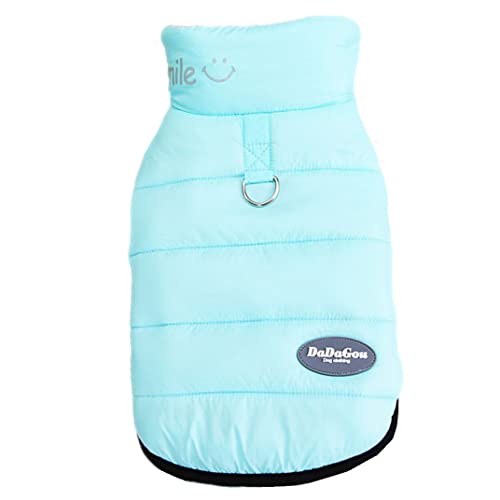 ICOUCHI  xXgWPbg_E H~ hbOEFA ybgEFA p[J[ {At ^ ^ h R[g g Uo   NX}X