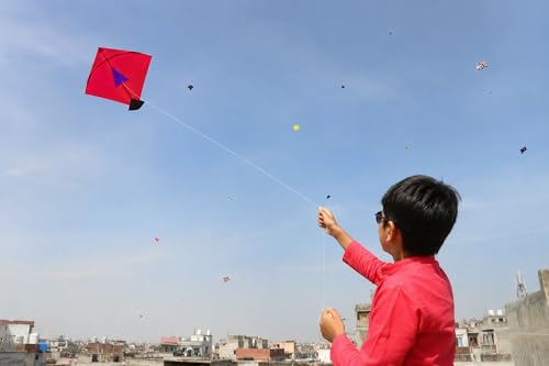 RUHANI Paper Kite Patang, 42 cm, Multi-Color, Pack of 10 - Image 3