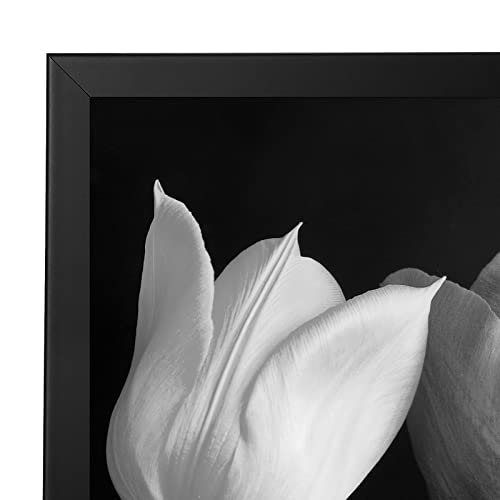 Americanflat 18x18 Picture Frame with Polished Plexiglass - Epic Collection - Square Picture Frame with Engineered Wood - Wide Photo Frames for Wall display - Black