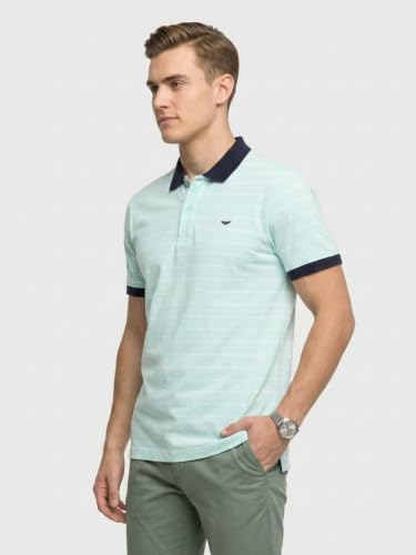 Image of Park Avenue Men Slim Fit Stripe Pattern Pure Cotton Polo Neck Half Sleeve Casual T-Shirt