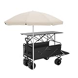 Mobiler Lebensmittelwagen mit Baldachin, Straßenhändlerwagen für Lebensmittelverkauf, Marktstand, Handwerksmarktständer, 120 cm, schwarz, tragbar und Lebensmitteldisplay