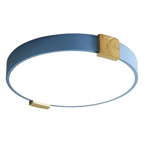 y_gCg, rO[pV[OCgA~jEANfBXNVF[hLEDpJ[tbgv\ȃV[OvLb`AoX[ALAQAItBXA[eBeBGAp(Blue,40Cm)