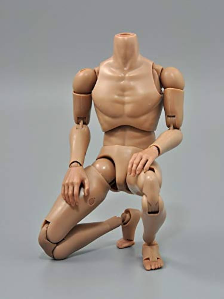 Amazon | 1/6 フィギュア 男性 素体 素体セット 2種類ヘッド