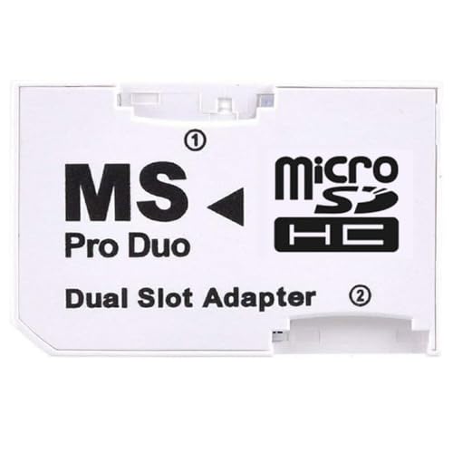 クリエイティブメモリーズ　色々 宮崎日日新聞 九州・宮崎プレスリリースSP_「「フラガリアメモリーズ