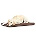 BarkBox Memory Foam Dog Bed | Plush Orthopedic Joint Relief Mattress Machine Washable + Removable Cover; Waterproof Lining, Includes Squeaker Toy | Large | Espresso