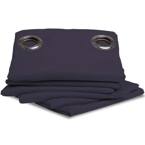 Moondream ThermActiv® Thermovorhang Winter+Sommer 2in1 | Isolierung Kälte+Hitze | Verdunkelung | Patentierte Technologie | EU Herstellung | Ösen | Blau MC412 | 140B x 260H cm