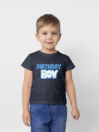 Birthday boy Shirt Boys Outfit Toddler Baby tee 1st 2nd 3 Year Old 4th Kids 5th 6th 7th 8th3