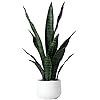 Beebel artificial snake plant 22 inch fake sansevieria fake agave potted plants plastic greenery for home garden office store decoration 12 leaves green  urban country home decor