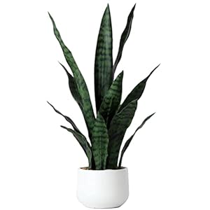 Beebel artificial snake plant 22 inch fake sansevieria fake agave potted plants plastic greenery for home garden office store decoration 12 leaves green  urban country home decor
