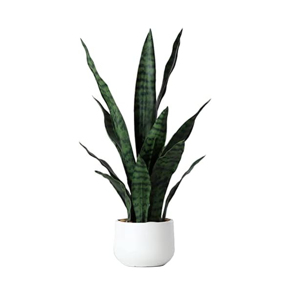 Beebel artificial snake plant 22 inch fake sansevieria fake agave potted plants plastic greenery for home garden office store decoration 12 leaves green  urban country home decor