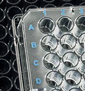 Brand - 96 Well Plates- White- immunoGrade- U-Bot, PK100