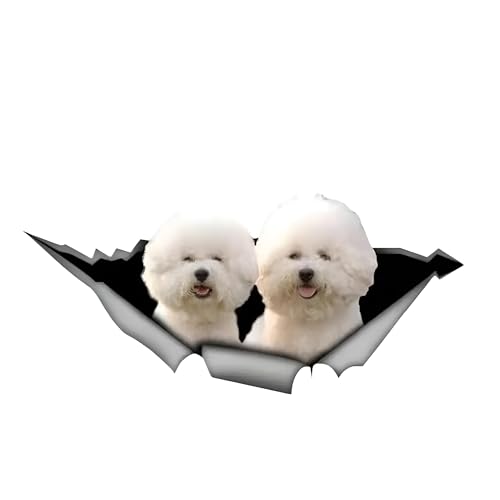 Autocollant pour voiture Bichon Frise Autocollant 15 cm (5,9 pouces) Bichon Frise Autocollant de voiture 3D déchiré Autocollant de voiture étanche Animal de...