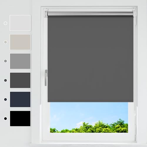 HOMEDEMO Verdunklungsrollo ohne Bohren Thermorollo Klemmfix Verdunkelungsrollo für Fenster & Tür Rollo Verdunkelung Sonnenschutz & Sichtschutz Dunkelgrau B45 × H170 cm