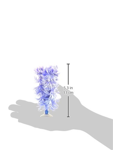 Marina Betta Hornwort Plant with Suction Cup, 12.7 cm, Blue, Baby Blue, 5 Inches - Image 3