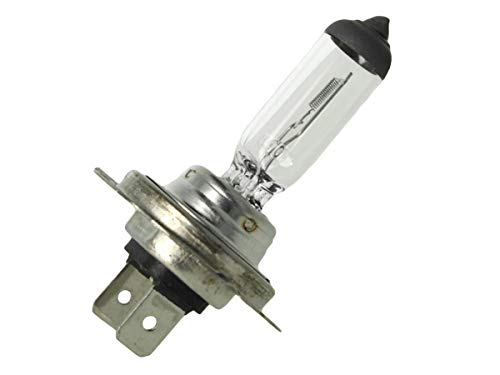 CARALL 2 Pezzi Lampada Alogena H18 12V 65W PY26d-1...