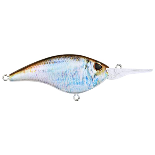 Berkley Frittside Fishing Hard Bait, HD Blueback Herring, 2 1/2in - 7 (3/7 oz)