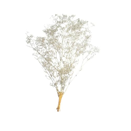 [ւŔ un_ X[p[\tg~jJX~ v`i 1 v hCt[ ԍ n[oE f  AWg Mtg ̓ a II`mEG vU[uht[ vU[uh vU ݂ JX~ n