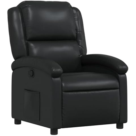 vidaXL Fauteuil Inclinable Noir Cover