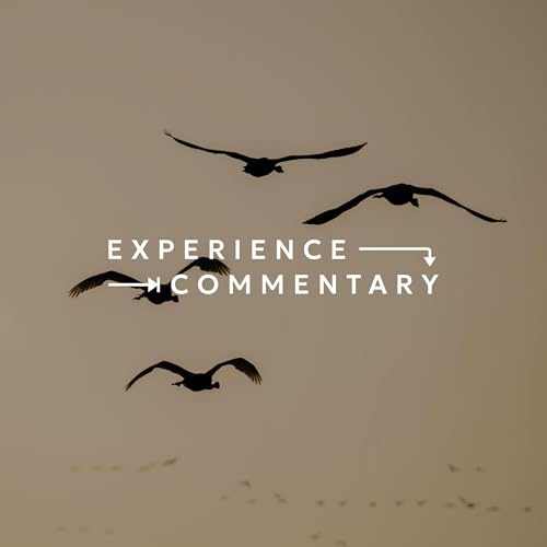 Experience Commentary | The Promise to Never Leave