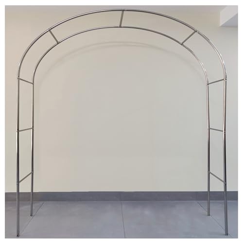 Celosias para Jardín con Hojas Marca Generic