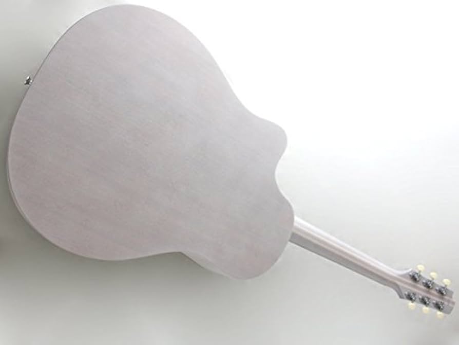 FGN フジゲンの日本製 アコギ Amazon | FGN (Fujigen フジゲン 富士弦) AG1-TWF Acoustic