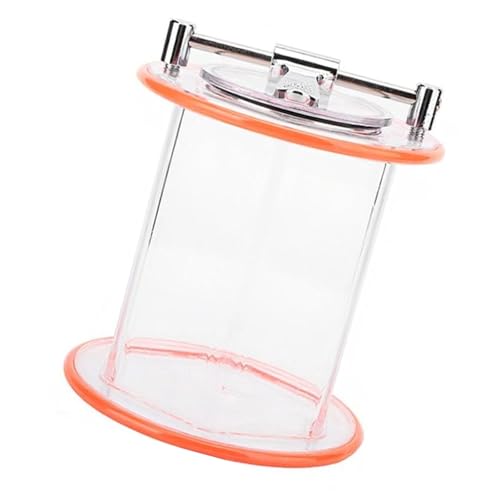Pulidor giratorio de joyería y vaso compacto portátil para manualidades 7