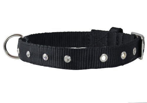 Double Nylon Dog Collar Rhinestones 3/4" Wide Fits 13.5"-16.5" Neck Spaniel, Bichon Frise #TOP3