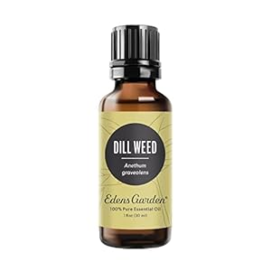 Edens Garden Dill Weed Essential Oil- 100% Pure Premium Grade, Undiluted, Natural, Therapeutic, Aromatherapy, The Best for Diffuser, Skin, Humidifiers, Kid Safe 30 ml (1 fl oz)